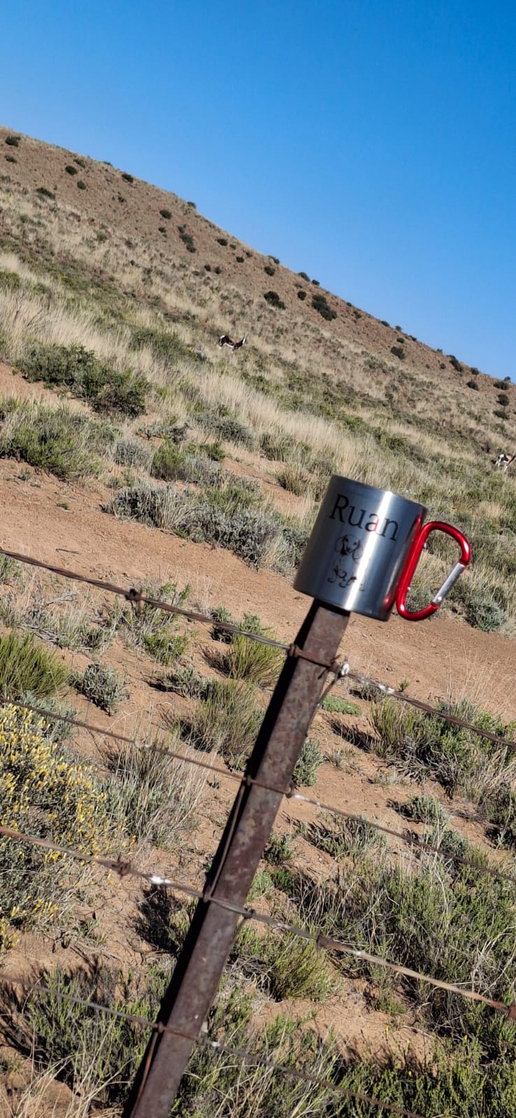 Personalised Stainless Steel Carabiner Mug – Custom Outdoor Adventure Cup by Daisy's Printing