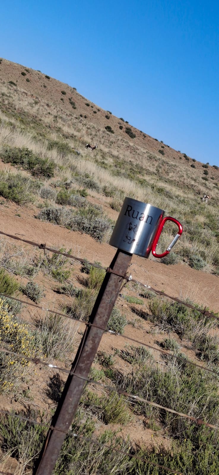 Personalised Stainless Steel Carabiner Mug – Custom Outdoor Adventure Cup by Daisy's Printing