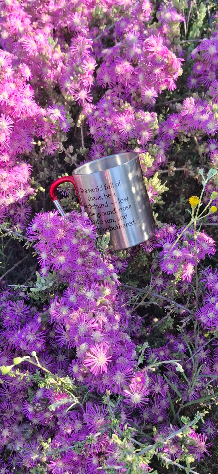 Personalised Stainless Steel Carabiner Mug – Custom Outdoor Adventure Cup by Daisy's Printing