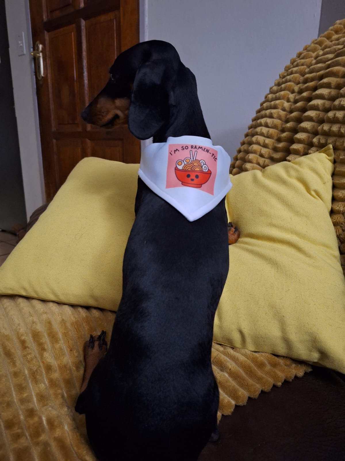 Custom Personalized Pet Bandana with Adjustable Collar by Daisy's Printing
